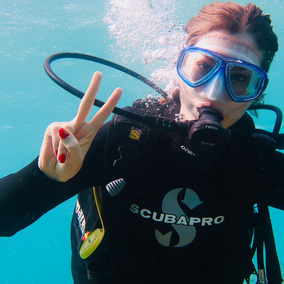 Free template by TemplateUX